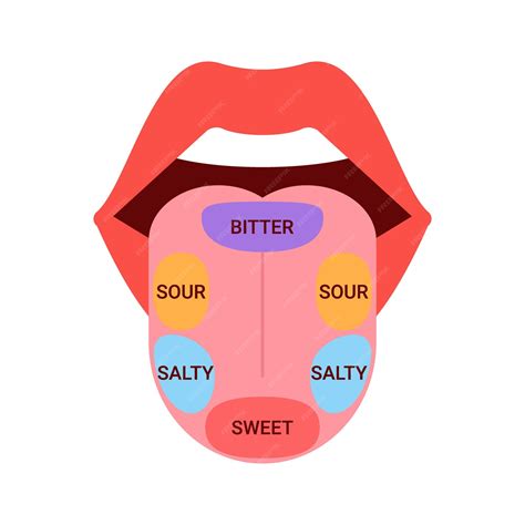 Taste Buds Map