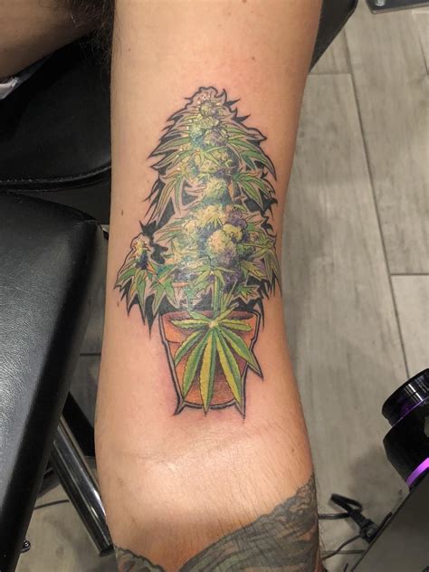 Tattoo Weed Plant