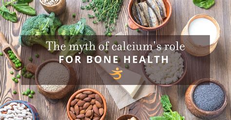 The Calcium Myth Better Bones Better Body