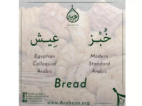 The Differences Between Egyptian Colloquial And Modern Standard Arabic