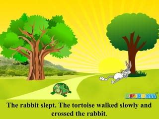 The Rabbit Slept The Tortoise Walked Slowly And The Hare And The