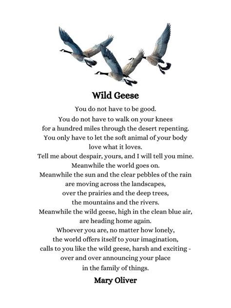 The Ultimate 5Step Guide To Creating Your Wild Geese Poem Today