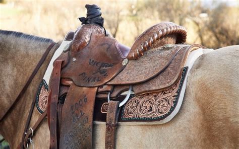 The Ultimate Cutting Saddle Guide Unleash Your Inner Cowboy In Comfort