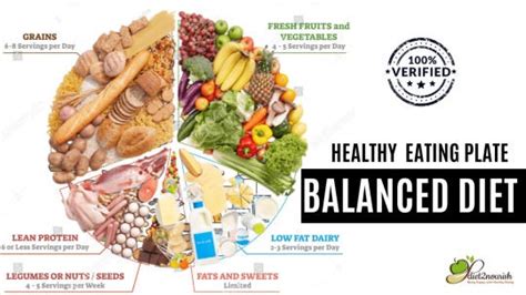 Things You Should Do For Balanced Diet Success By Diet2 Nourish Medium