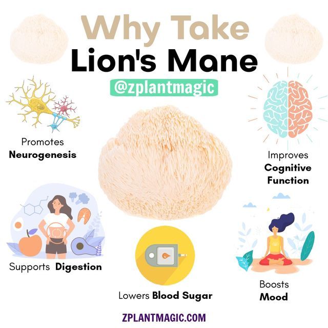 Ultimate 6 Benefits Of Lion's Mane Powder Now!