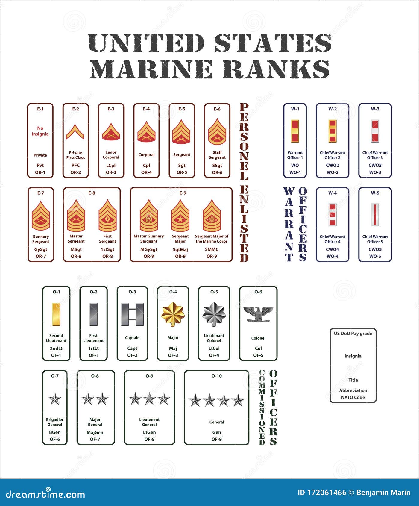 15+ Us Marine Ranks: A Comprehensive Overview Of The Military's ...