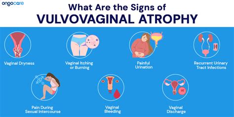 Vulvovaginal Atrophy Causes Symptoms Treatment Ongo Care