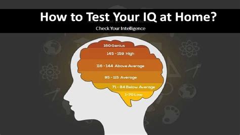 What Is An Iq Test How To Test Iq