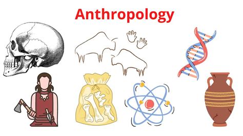 What Is Anthropology Definition And Overview Research Method