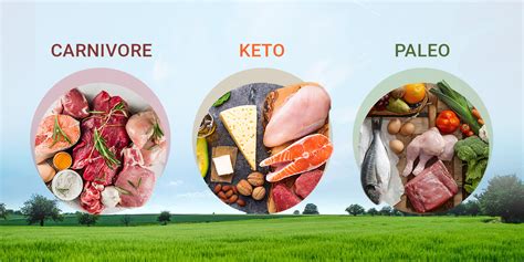 What Is The Keto Carnivore Diet