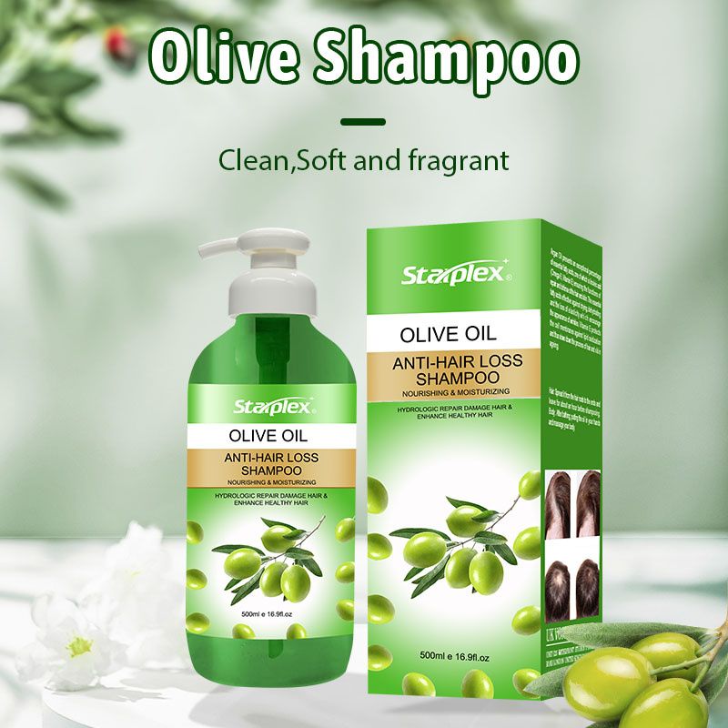 Wholesale Bulk Starplex Organic Herbal Reduce Hair Loss Olive Oil Scalp Hair Care Shampoo