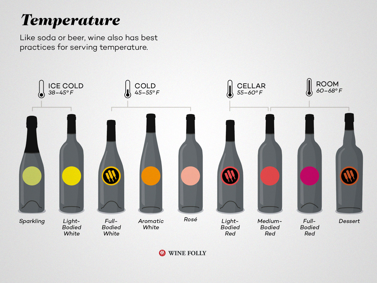 Wine Pairing 101 Red Vs White For Perfect Meal Complements Best